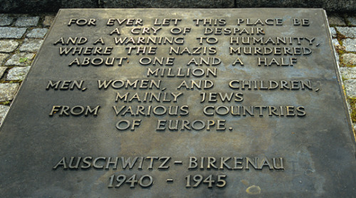 peremadeleine: 27 January, 1945 | The liberation of Auschwitz Never shall I forget that smoke. 