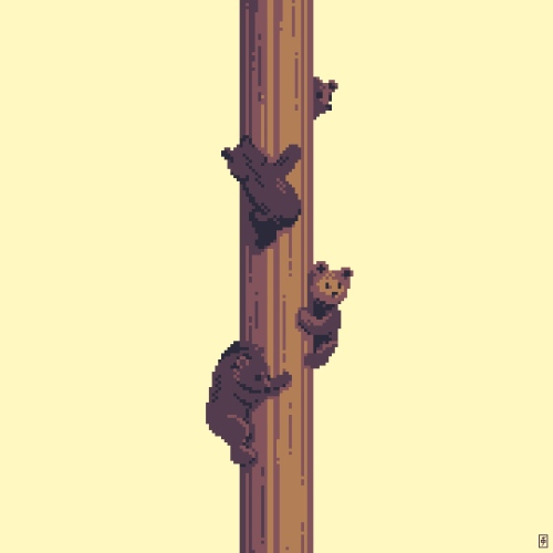 1544. Bears