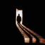 darkshadowsinthenight