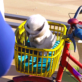 tomandjerrys:Bungee in the bike basketOver the Moon (2020)