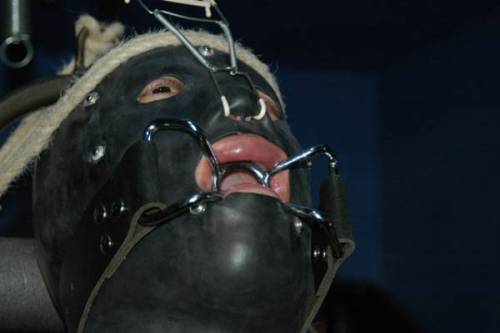 Gay bondage and domination , featuring famous masculine male pornstars, dressed in leather , with co