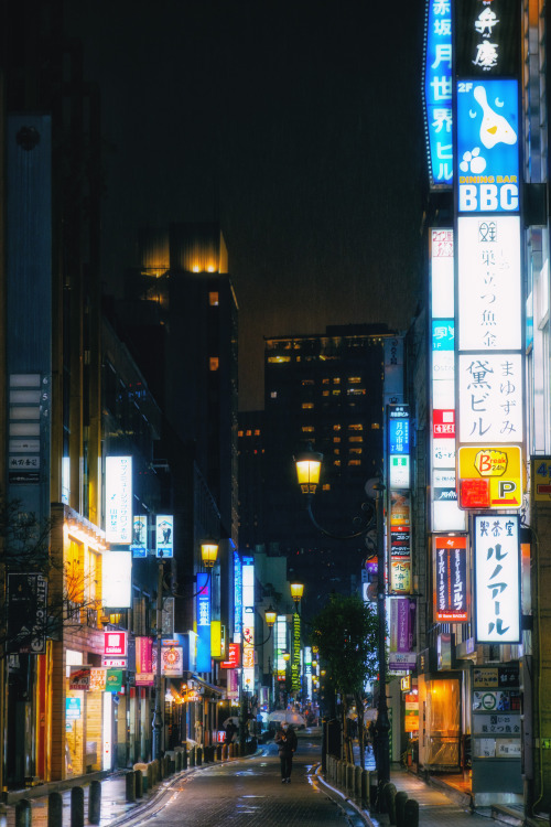 Sex sleeplessintokyo87:  Another Rainy Night pictures