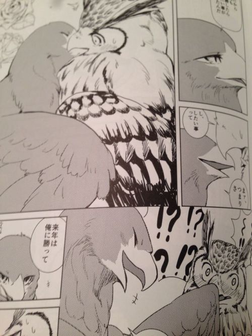 midnitewolfy:  king-in-yellow:  Ever wanted to see a secretary bird make out with a lammergeier? Nah, me neither.  REMEMBER THE BIRD BL DOUJINSHI? Here are a couple of sample images from both FORBIDDEN BIRD BOY LOVE ~Eden~ and FORBIDDEN BIRD BOY LOVE