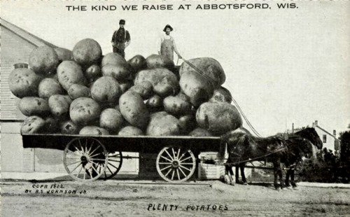 Porn Tall-Tale Postcard - Plenty Potatoes, 1912. photos