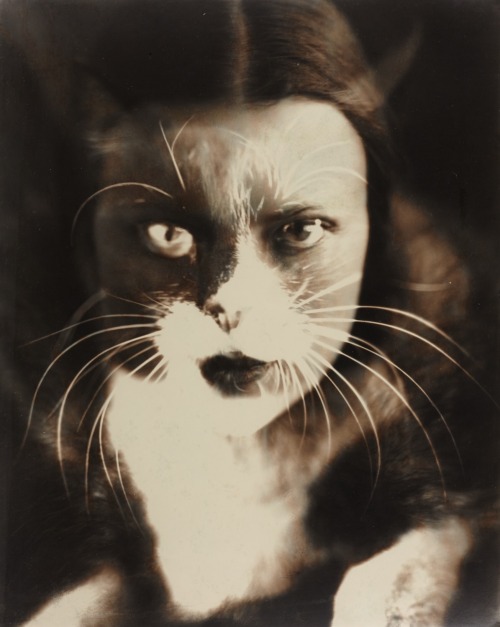 design-is-fine:  Wanda Wulz, Io + Gatto (self-portrait), 1932. Italy. One of the most famous double exposures in the history of photography, she combined her cat Pippo with her own image.