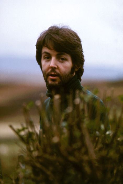 heymccartney - beardy Paul at High Park Farm,by Linda...