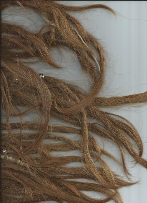 bohofien:  my young dreadlocks :) 
