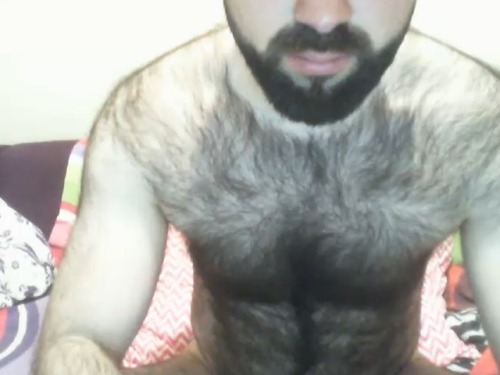 tumblr photo littleotter4hairyman 4