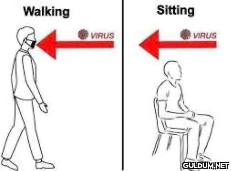 Walking Sitting VIRUS...