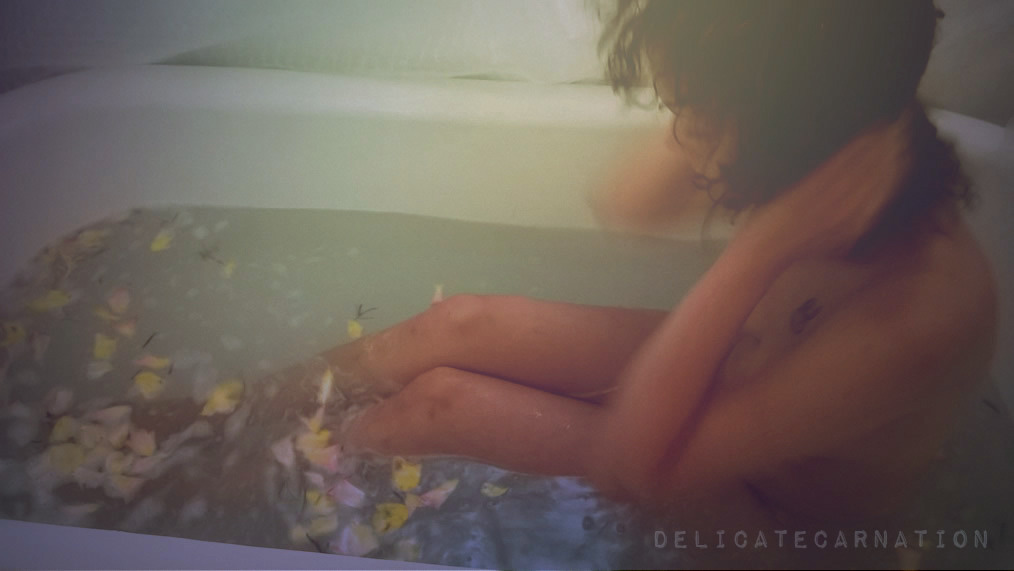 delicatecarnation
