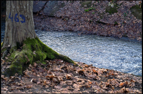 The Radilyvka RiverKolomija (Kolomea), Ukraine, January 01, 2019 | Konica Minolta Dynax 5D | Industa