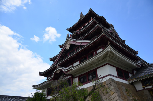 Momoyama Castle Kyôto　桃山城　京都2015年04月29日