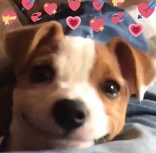 softwaring: mood
