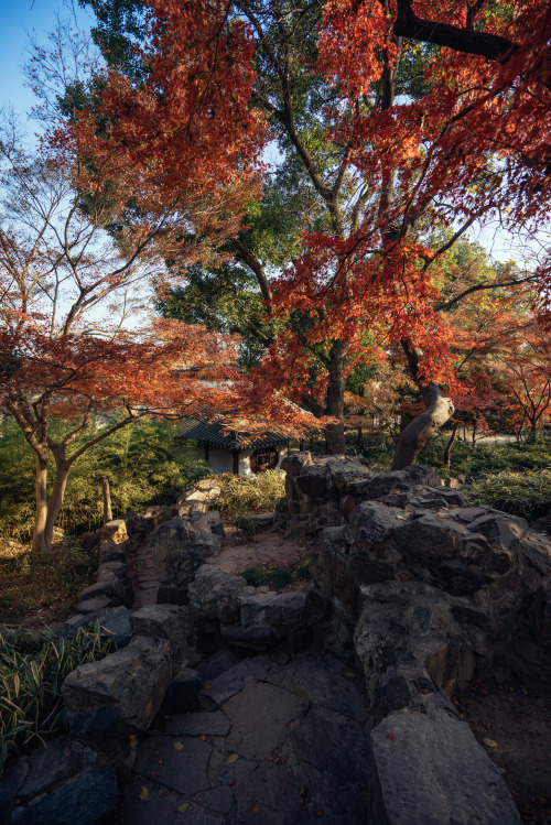 Chinese Garden By Mingcat