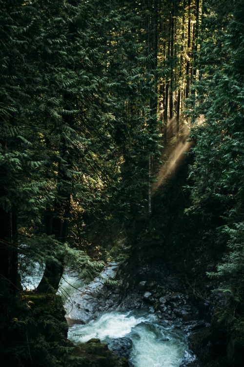 christophermfowler:Cascade Falls | Fraser Valley, BC | March 2019