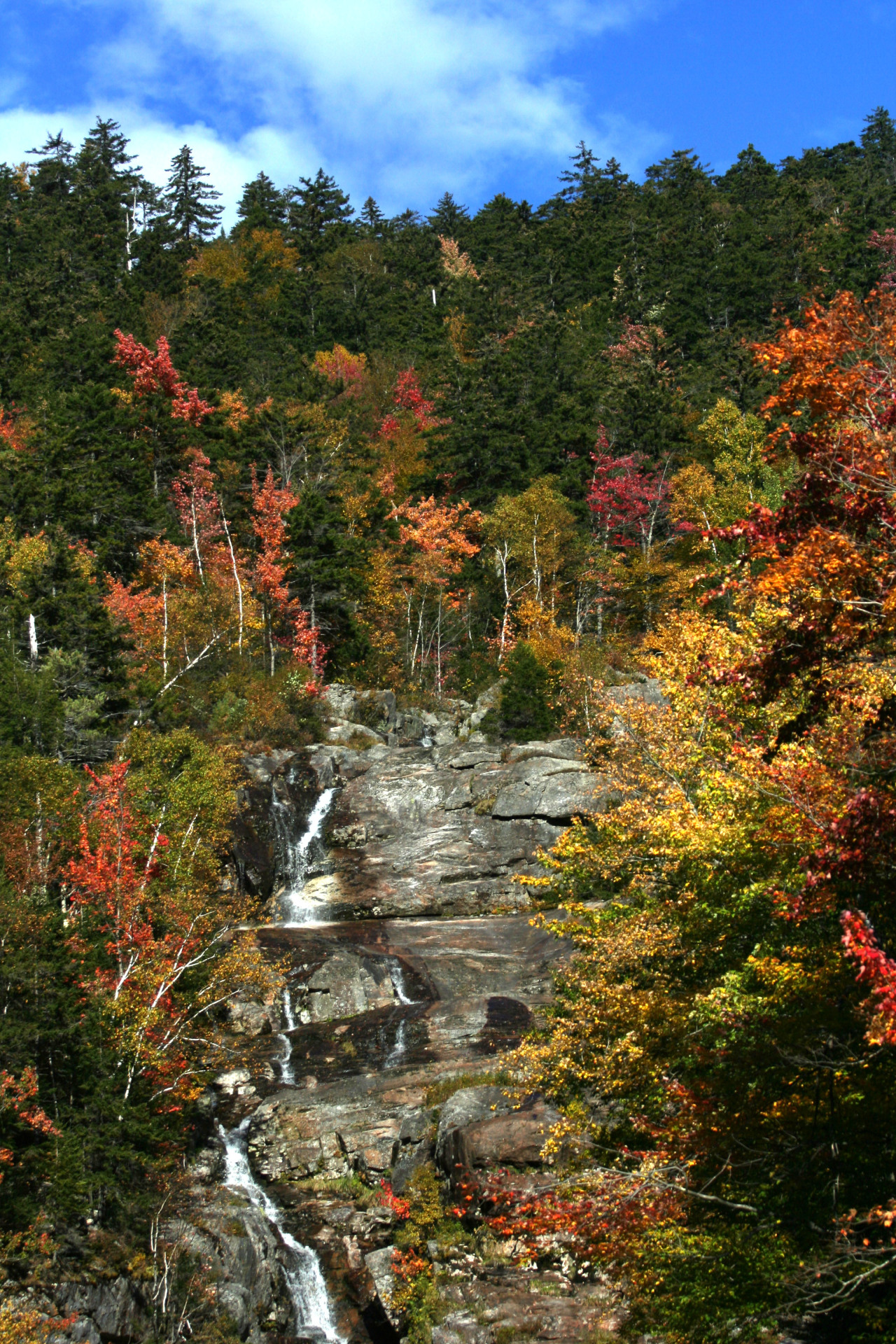 creative-owlette:  The last of my “autumn in New Hampshire 2013” photos 