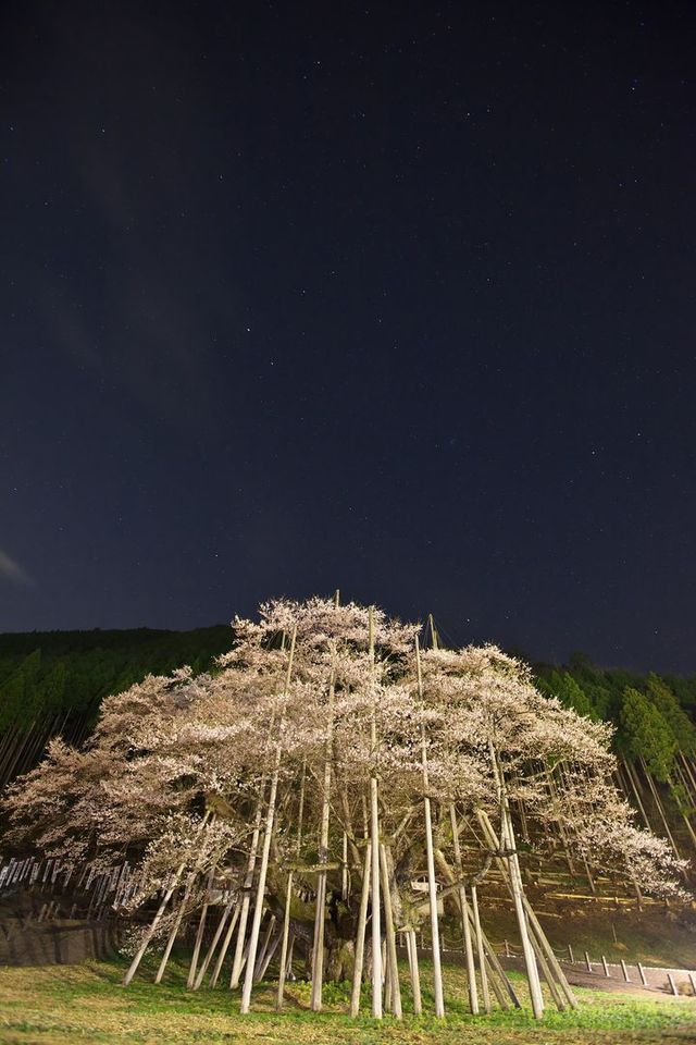 姫神サクラ Explore Tumblr Posts And Blogs Tumgir 姫神サクラ Explore Tumblr Posts And Blogs Tumgir