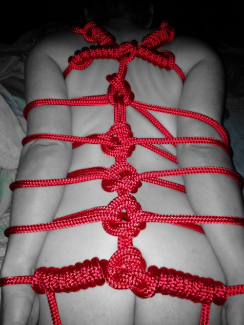 sassys-sadistic-daddy: eroticexplorations69:  We have recently discovered bondage and in particular 