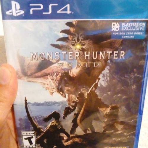 Mi cuerpo esta listo para esto#monsterhunterworld #ps4