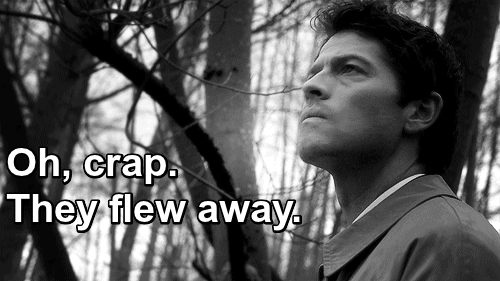 dean-and-his-gay-thing:  danglingthpider:  funwithtime:  At least they still have wings   YOU FUCKING DIDN’T 