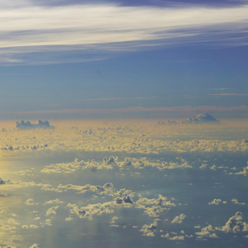 a field of Clouds / 雲畑 &gt;  flickr Ver.