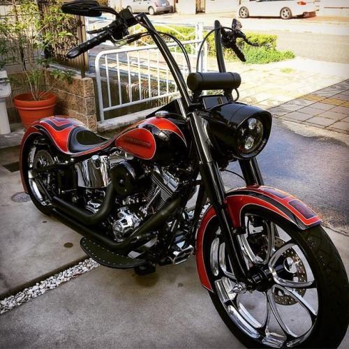 softailgram:Follow 🔥 @softailgram 🔥 for the best HD Softail photos on Instagram  ••••••••••••••••••••••••••••••••••••••••••••••• Thanks for sharing: [