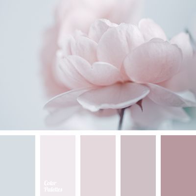 Pink And Grey Aesthetic