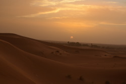 sijjy:Reflections in the sun | Sahara Desert,