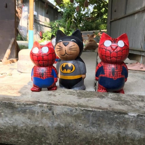 #cat #superman #spiderman #batman #thailand (helyszín: Damnoen Saduak Floating Market（丹能莎朵水上市