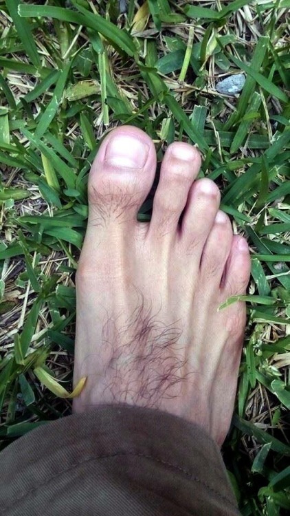 willemkie: paulsbunion:A BEAR foot…hairy toes are my favorite!! Hairy toes turn me on big time,,,,mm