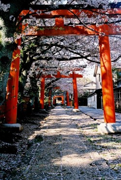 miizukizu:  By : 雷鳴写洛(Do not remove credits)  