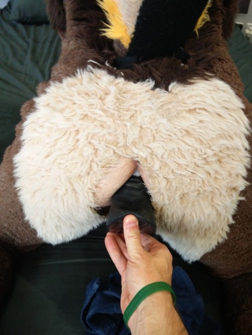 tuggerpup:Met up with a furry friend and he took a Chance… on me