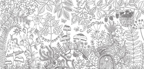 jedavu:  Colouring Books for AdultsInspired by Scotland’s Brodick Castle Gardens, British illustrator and artist Johanna Basford creates incredible coloring books for adults… 