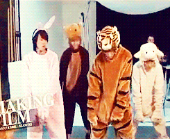 -everdeen:  TVX Cute: Barn Animals Perform “O”-正.反.合.  meanwhile: 