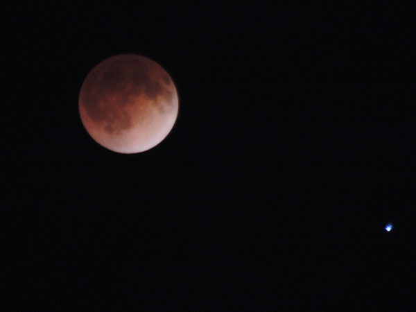 ladytrupp:  moon, you’re beautiful no matter what shade of red you wear