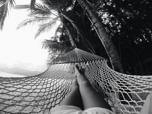 silly-luv:  ♡ find your best posts on my blog ♡