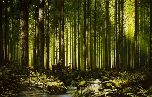 Forest stream. canvas/oil,90x140cm. 2017Лесной ручей. холст/масло,90x140см. 2017г.Alexey Golovin, (b