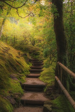 sublim-ature:  Ginkaku-ji, JapanPavel Minaev