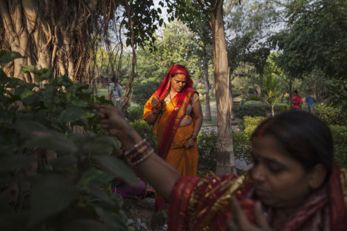 Pippal tree worship