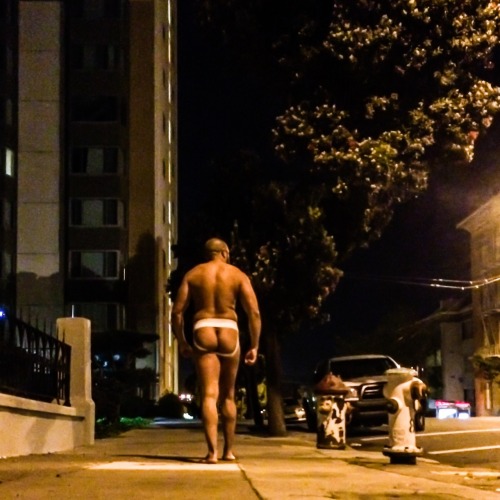 mischief1972:  Early morning shenanigans   Out for a stroll