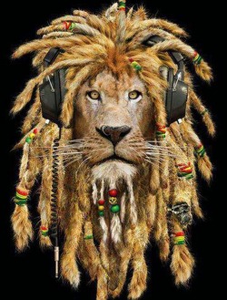 Jah mon, we be Rasta