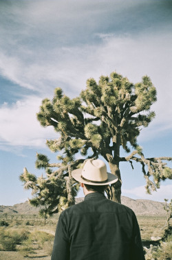 davidgomezmaestre:  Xander, Joshua Tree.