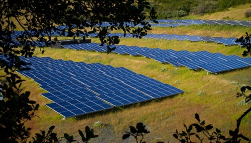 Solar farms can enhance biodiversity and sequester soil carbon too Image: mcmees24 Utility-scal