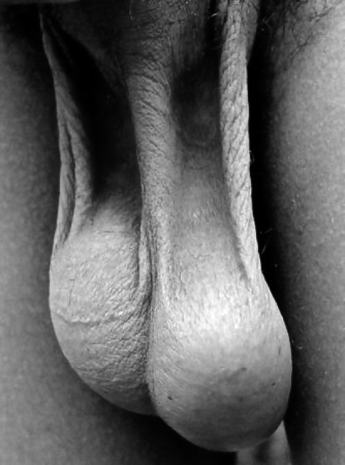 barebearx:  nick6520:  nick6520:  curlysuburban-urban:  abeautifulindiscretion:  Ballsy  Uncut  GREAT BALLS!!!!  what I would do with a pair of balls liketat, fuck„„„,  ~~~PLEASE FOLLOW ME ** ~~~~~~~~~ ♂♂OVER 38,500   FOLLOWERS   (Thank