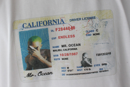 ateliereaurouge:Mr. Ocean’s License 
