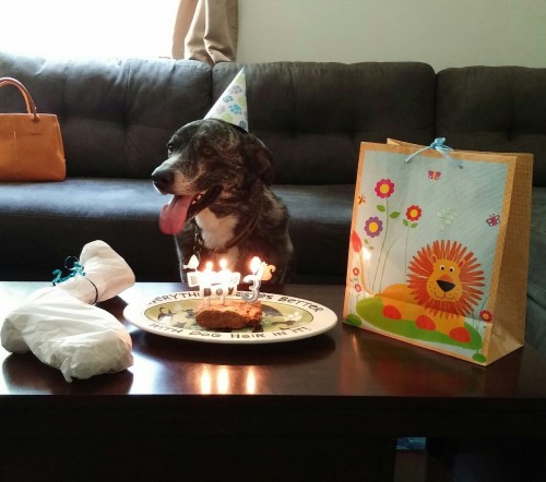 My boy turned 3 on June 4. We were away, so we celebrated today. :D