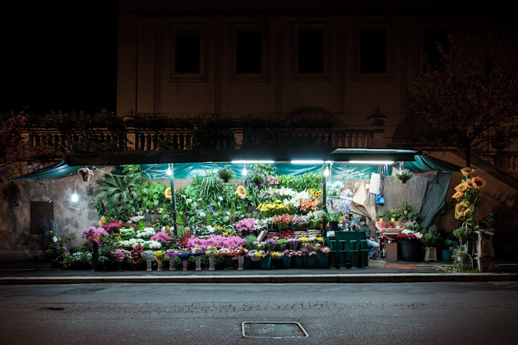 arpeggia:  Paolo Fusco - Fiori 24h Artist’s statement: &ldquo;Hardly anything