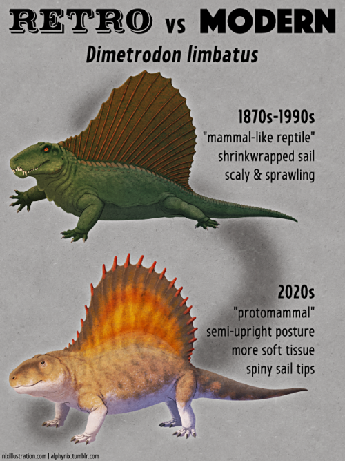 Retro vs Modern #15: Dimetrodon limbatusWith its prominent sailback Dimetrodon is one of the most ic