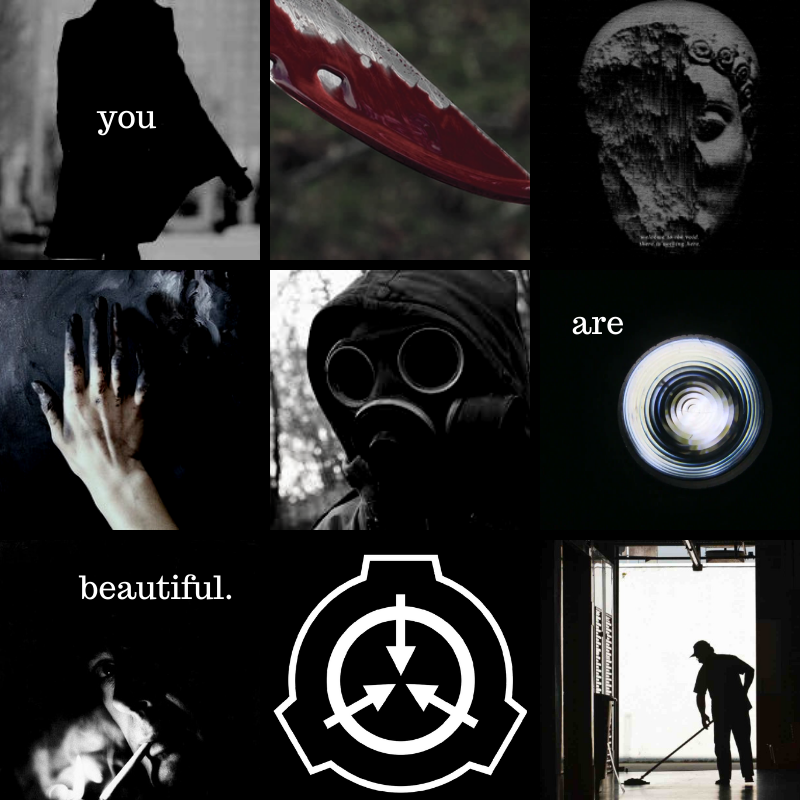 SCP Aesthetics — SCP Aesthetics: 1733 (requested by