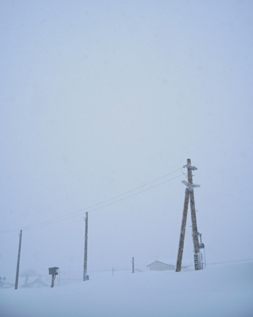 北海道民が白魔に負けた日